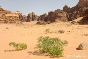 Wadi Rum - Jordanie