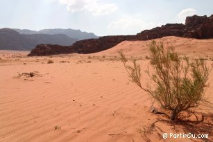 Wadi Rum - Jordanie