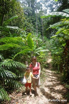 Balade dans la jungle de Perhentian Besar - Malaisie