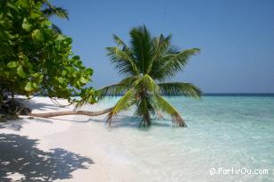 Embudu Village, Fihalhohi et Mal - Maldives