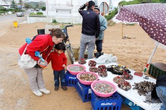 Vente de produits de la mer à Oualidia - Maroc