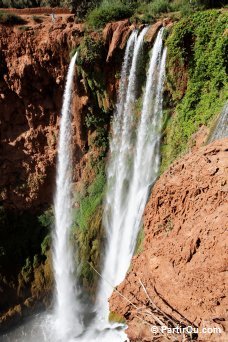 Cascades d'Ouzoud - Maroc