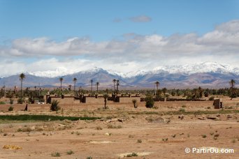 Palmeraie d'Amerhidil - Skoura - Maroc