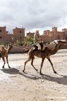 Kasbah d'Amerhidil - Skoura - Maroc