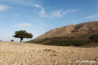 Moyen Atlas - Maroc