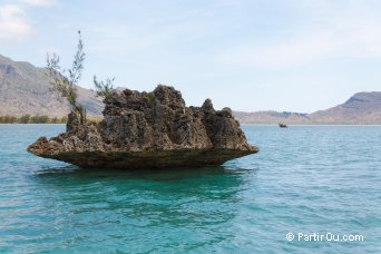 Ilot de corail mort  proximit de l'le aux Bnitiers - Maurice