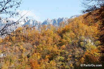 Couleurs d'automne - Montngro