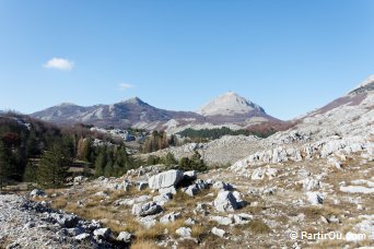 Parc national du Lovćen - Montngro