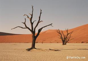 régions intérieures de Namibie