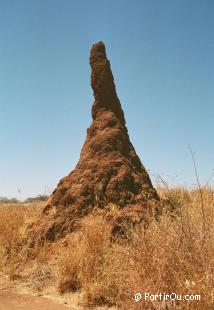 Termitire de Namibie