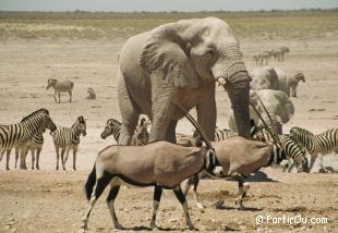 rgions intrieures de Namibie