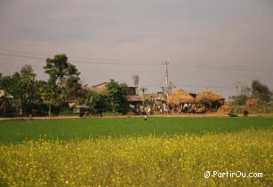 La campagne autour de Sauraha