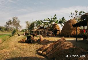 La campagne autour de Sauraha