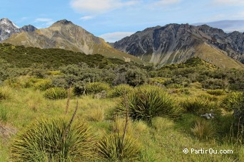 Tasman Valley - Nouvelle-Zlande