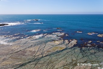 Pninsule de Kaikoura - Nouvelle-Zlande