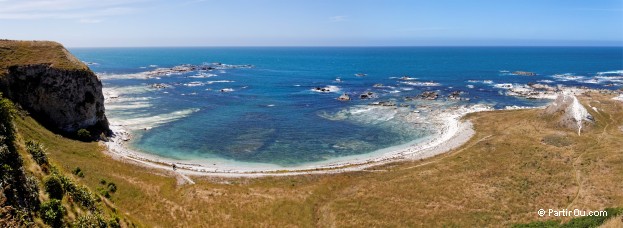 Pninsule de Kaikoura - Nouvelle-Zlande