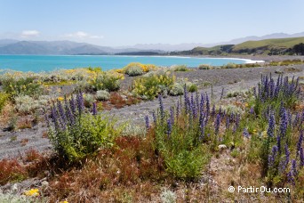 South Bay - Kaikoura - Nouvelle-Zlande