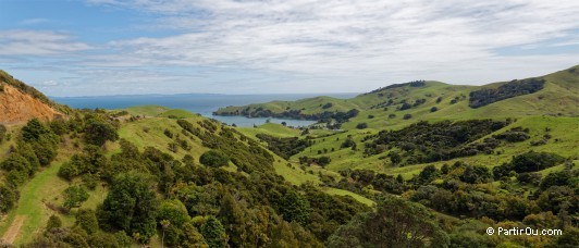 Coromandel - Nouvelle-Zlande