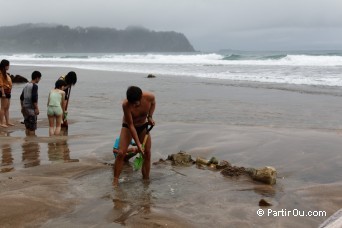 Hot Water Beach - Coromandel - Nouvelle-Zlande