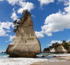 Cathedral Cove - Coromandel - Nouvelle-Zlande