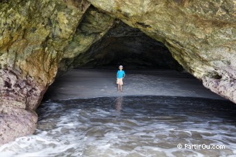 Mares Leg Cove - Coromandel - Nouvelle-Zlande