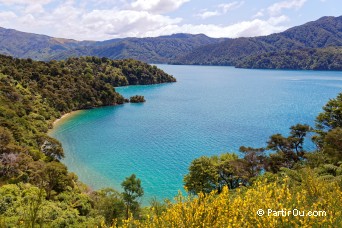 Queen Charlotte Sound - Nouvelle-Zlande