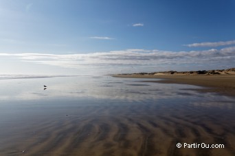 Ninety Mile Beach - Nouvelle-Zlande