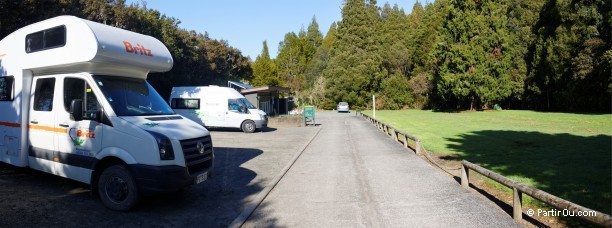 DOC Trounson Kauri Park - Nouvelle-Zélande