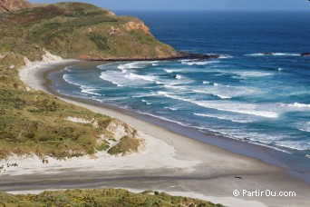 Sandfly Bay - Pninsule d'Otago - Nouvelle-Zlande