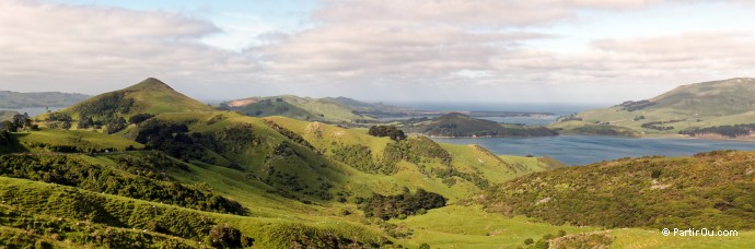 Péninsule d'Otago - Nouvelle-Zélande
