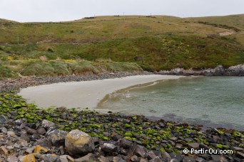 Pilots Beach - Péninsule d'Otago
