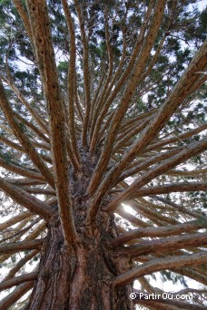 Queenstown Gardens - Nouvelle-Zlande