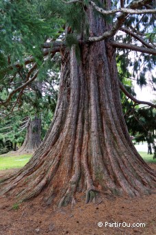 Queenstown Gardens - Nouvelle-Zlande