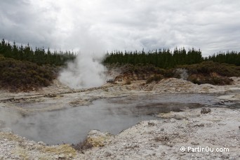 Hells Gate - Nouvelle-Zlande