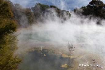 Parc de Kuirau  Rotorua - Nouvelle-Zlande