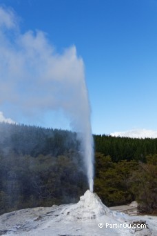 Lady Knox Geyser - Wai-O-Tapu - Nouvelle-Zlande