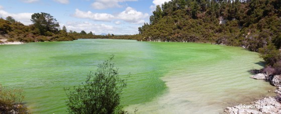 Ngakoro Lake - Wai-O-Tapu - Nouvelle-Zlande