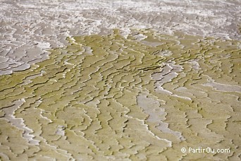 Primrose Terraces - Wai-O-Tapu - Nouvelle-Zlande