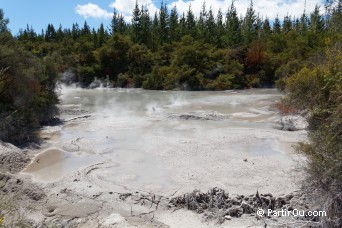 Mud Pool - Wai-O-Tapu - Nouvelle-Zlande