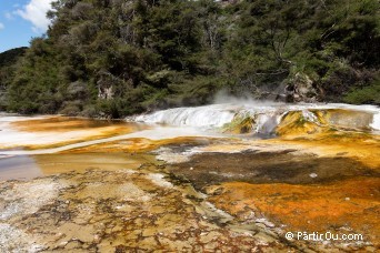 Warbrick Terrace - Waimangu - Nouvelle-Zlande