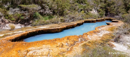 Warbrick Terrace à Waimangu - Nouvelle-Zélande