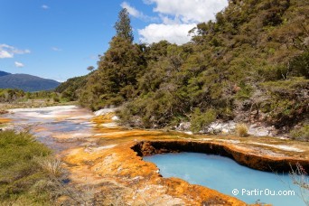 Warbrick Terrace - Waimangu - Nouvelle-Zlande