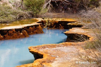 District de Rotorua - Nouvelle-Zlande