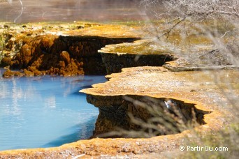 Warbrick Terrace - Waimangu - Nouvelle-Zlande