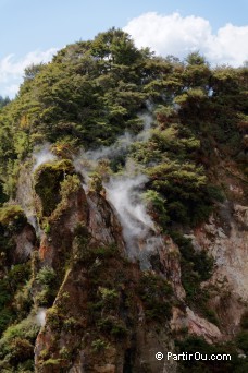 Cathedral Rocks - Waimangu - Nouvelle-Zlande