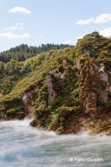 Cathedral Rocks - Waimangu - Nouvelle-Zlande