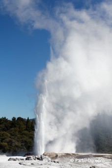 Geyser Pohutu à Rotorua - Nouvelle-Zélande