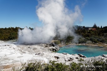 Geyser Pohutu - Whakarewarewa - Te Puia - Nouvelle-Zlande