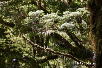 The Chasm - Fiordland - Nouvelle-Zlande