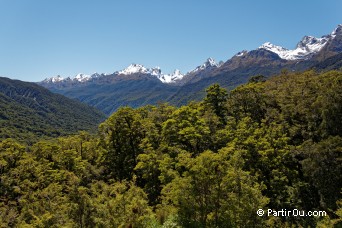 Pop's View - Fiordland - Nouvelle-Zlande